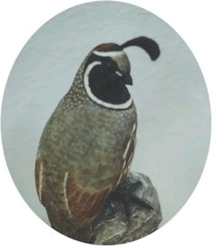 Gene Alexander Bird Carvings